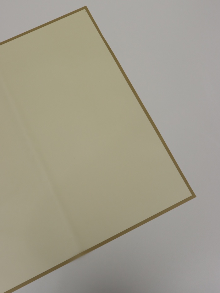 Пленка для цветов и букетов «Полупрозрачная кайма», оливковая, 57×57 см - Фото 1