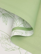 Пленка для цветов, "Букет цветов", зелёная, 57х57 см  (артикул 10949631)  большой выбор товаров оптом и в розницу по низким ценам с доставкой