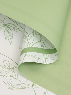 Пленка флористическая для цветов, «Букет цветов», зелёная, 57×57 см