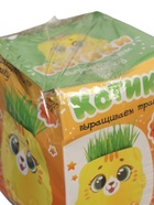 УЦЕНКА ЭВРИКИ Набор для опытов "Выращиваем травку", желтая - Фото 6