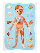 Большой подарок «Выпускнику детского сада» 7 в 1  (артикул 10986229)  большой выбор товаров оптом и в розницу по низким ценам с доставкой