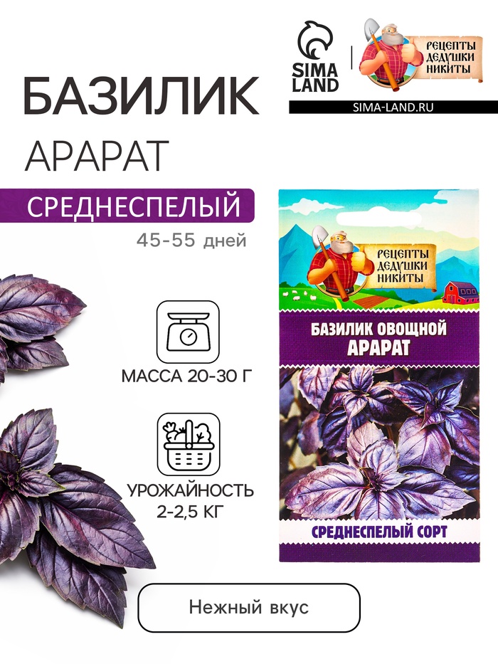 Семена Базилик овощной «Арарат», 0.2 г, «Рецепты дедушки Никиты» - Фото 1