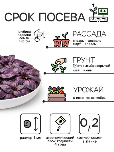 Семена Базилик овощной «Арарат», 0.2 г, «Рецепты дедушки Никиты»