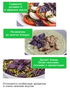 Семена Базилик овощной «Арарат», 0.2 г, «Рецепты дедушки Никиты»  (артикул 10917852)  большой выбор товаров оптом и в розницу по низким ценам с доставкой