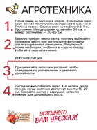 Семена Базилик овощной «Арарат», 0.2 г, «Рецепты дедушки Никиты»  (артикул 10917852)  большой выбор товаров оптом и в розницу по низким ценам с доставкой