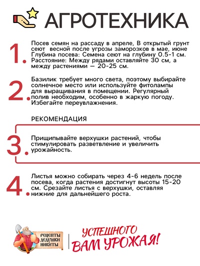 Семена Базилик овощной «Арарат», 0.2 г, «Рецепты дедушки Никиты»
