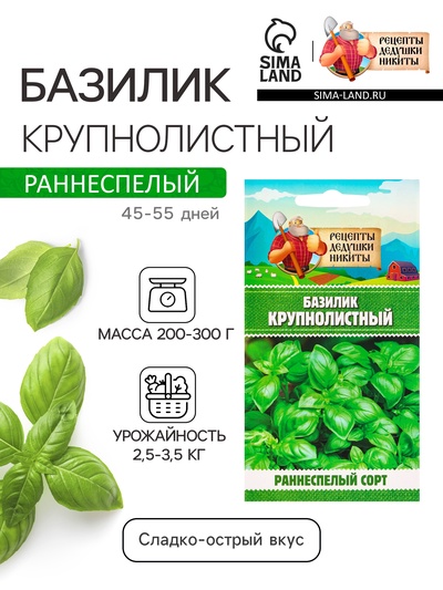 Семена Базилик «Крупнолистный», 0.2 г, «Рецепты дедушки Никиты»