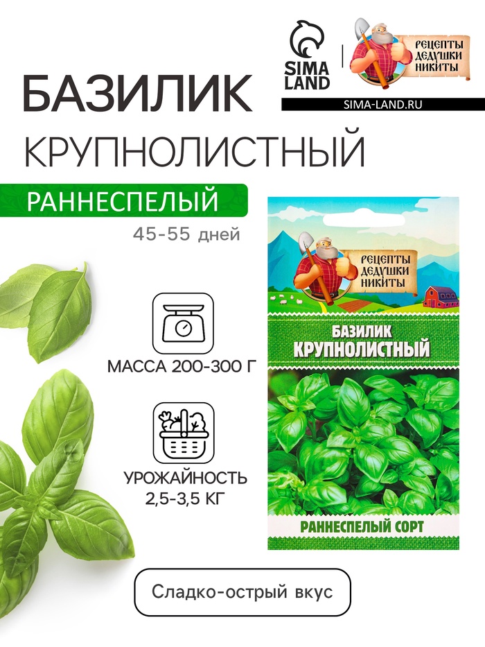 Семена Базилик «Крупнолистный», 0.2 г, «Рецепты дедушки Никиты» - Фото 1