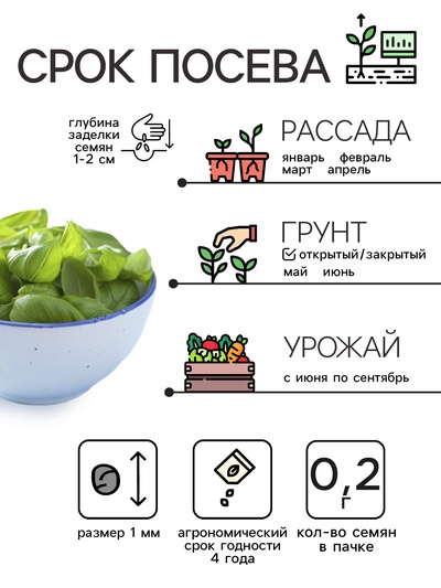 Семена Базилик «Крупнолистный», 0.2 г, «Рецепты дедушки Никиты»