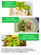 Семена Базилик «Крупнолистный», 0.2 г, «Рецепты дедушки Никиты» - Фото 3