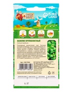 Семена Базилик «Крупнолистный», 0.2 г, «Рецепты дедушки Никиты» - Фото 6