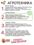 Семена Капуста цветная «Осенний гигант» 0.1 г, «Рецепты дедушки Никиты»  (артикул 10917867)  большой выбор товаров оптом и в розницу по низким ценам с доставкой