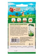 Семена Капуста цветная «Осенний гигант» 0.1 г, «Рецепты дедушки Никиты»  (артикул 10917867)  большой выбор товаров оптом и в розницу по низким ценам с доставкой