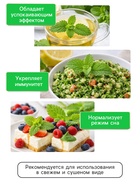 Семена Мелисса лекарственная «Лимонный аромат» 0.1 г, «Рецепты дедушки Никиты»  (артикул 10917869)  большой выбор товаров оптом и в розницу по низким ценам с доставкой