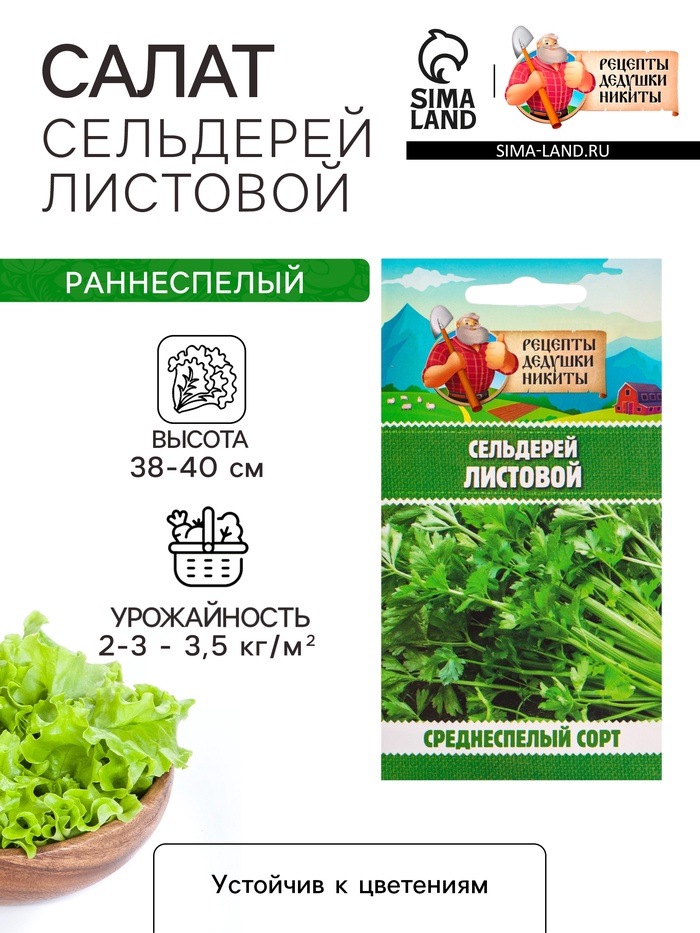 Семена Сельдерей «Листовой», 0.5 г, «Рецепты дедушки Никиты» - Фото 1