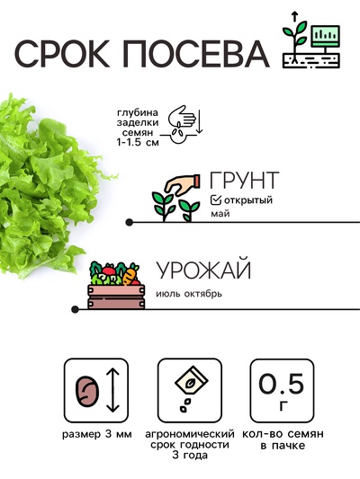 Семена Сельдерей «Листовой», 0.5 г, «Рецепты дедушки Никиты»