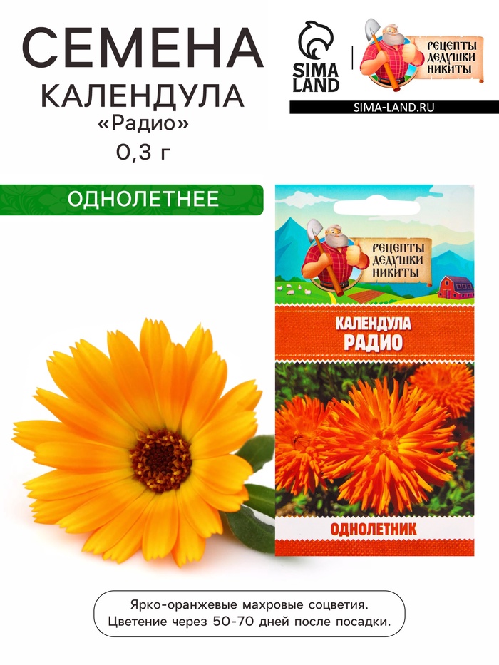 Семена цветов Календула «Радио», 0.3 г, «Рецепты дедушки Никиты» - Фото 1