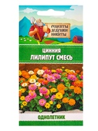 Семена цветов Цинния «Лилипут» смесь, 0.2 г, «Рецепты дедушки Никиты» - Фото 5