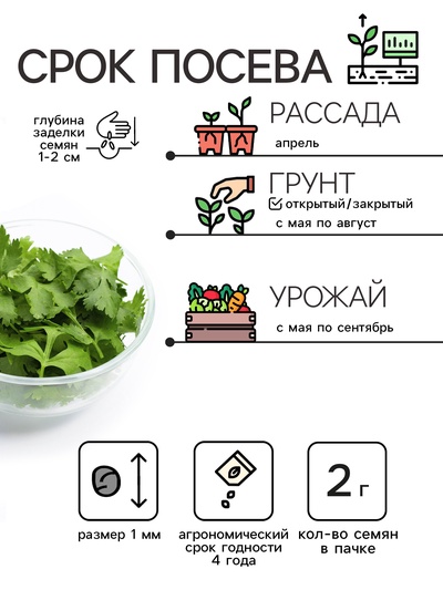 Семена Кориандр - кинза «Кин-Дза-Дза», 2 г, «Рецепты дедушки Никиты»