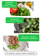 Семена Кориандр - кинза «Кин-Дза-Дза», 2 г, «Рецепты дедушки Никиты»  (артикул 10917868)  большой выбор товаров оптом и в розницу по низким ценам с доставкой