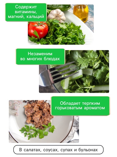 Семена Кориандр - кинза «Кин-Дза-Дза», 2 г, «Рецепты дедушки Никиты»