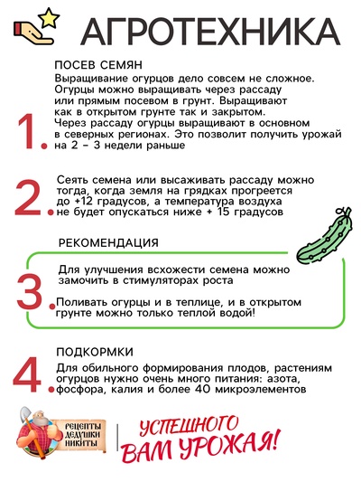 Семена Огурец «Изящный», 0.3 г, «Рецепты дедушки Никиты»