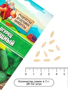 Семена Огурец «Изящный», 0.3 г, «Рецепты дедушки Никиты» - Фото 5