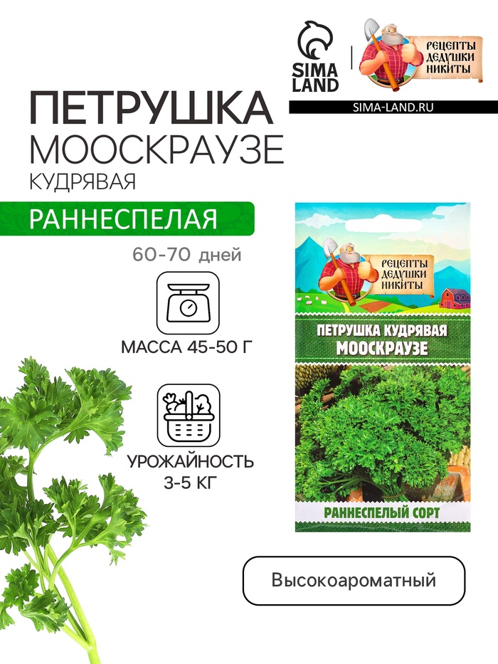 Семена Петрушка кудрявая «Мооскраузе», 2 г, «Рецепты дедушки Никиты» - Фото 1