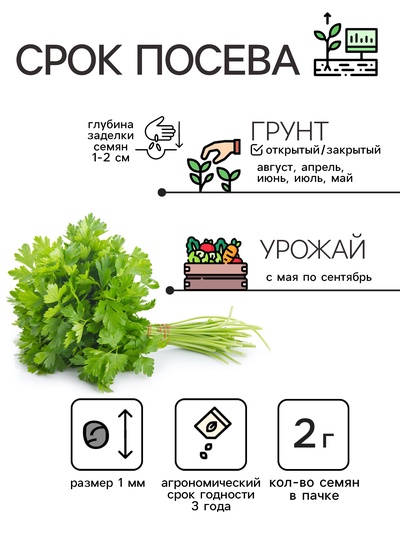 Семена Петрушка кудрявая «Мооскраузе», 2 г, «Рецепты дедушки Никиты»