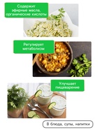 Семена Петрушка кудрявая «Мооскраузе», 2 г, «Рецепты дедушки Никиты» - Фото 3