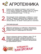 Семена Петрушка кудрявая «Мооскраузе», 2 г, «Рецепты дедушки Никиты» - Фото 4