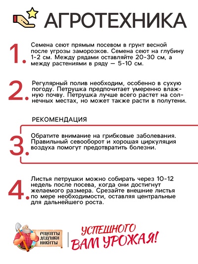 Семена Петрушка кудрявая «Мооскраузе», 2 г, «Рецепты дедушки Никиты»