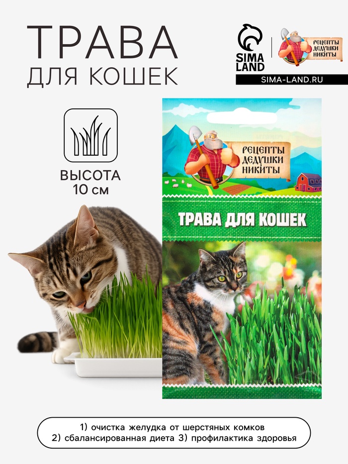Семена Трава для кошек, 10 г, «Рецепты дедушки Никиты» - Фото 1
