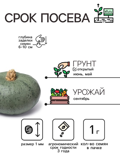 Семена Тыква «Мускатная Прованская», 1 г, «Рецепты дедушки Никиты»