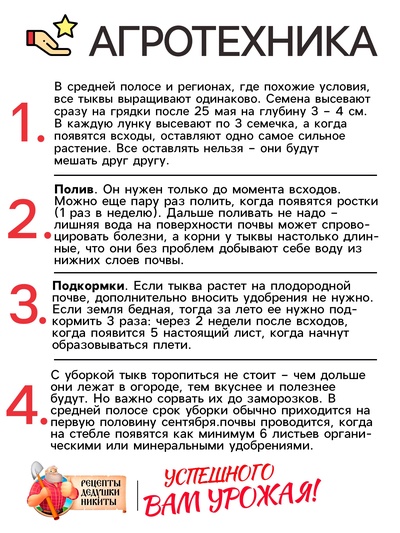 Семена Тыква «Мускатная Прованская», 1 г, «Рецепты дедушки Никиты»