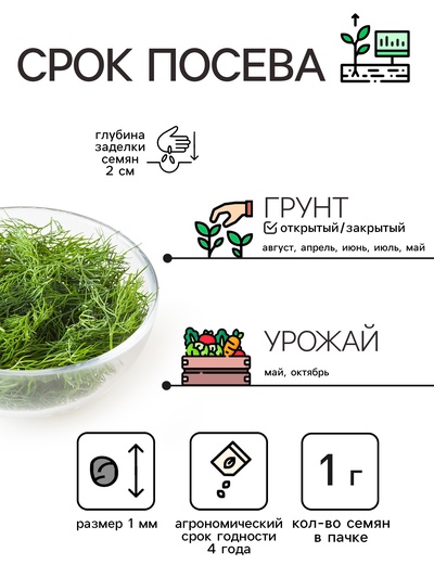 Семена Укроп «Кустистый», 2 г, «Рецепты дедушки Никиты»