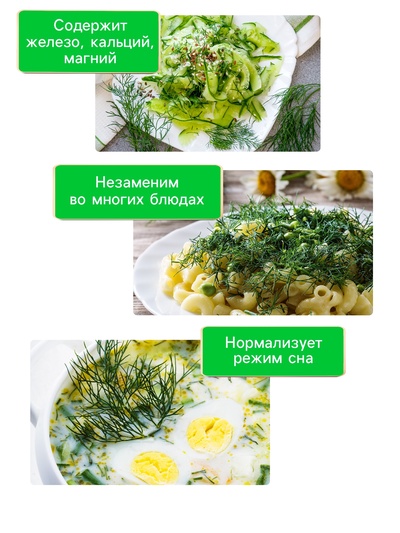 Семена Укроп «Кустистый», 2 г, «Рецепты дедушки Никиты»