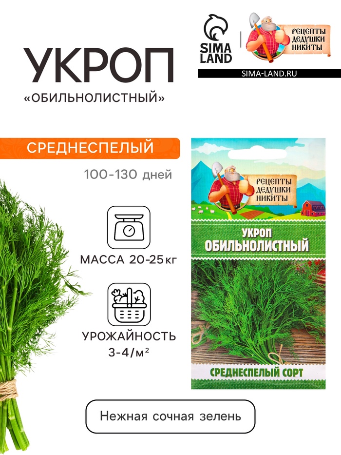 Семена Укроп «Обильнолистный», 2 г, «Рецепты дедушки Никиты» - Фото 1