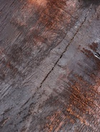 УЦЕНКА Маска «Зебра», 30×16×7 см, дерево - Фото 12