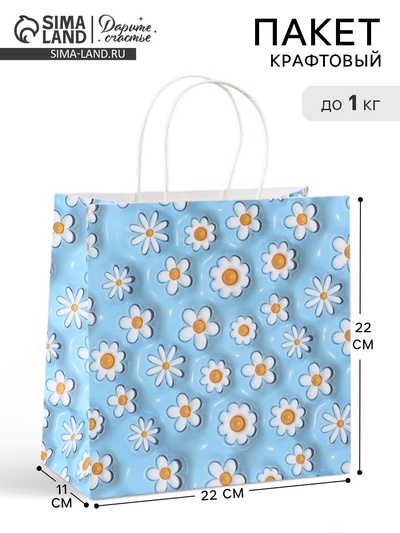 Пакет подарочный «Ромашки», 22×22×11 см