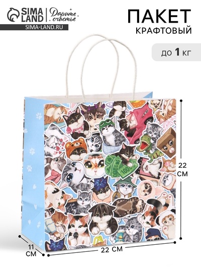 Пакет подарочный «Котики», 22×22×11 см
