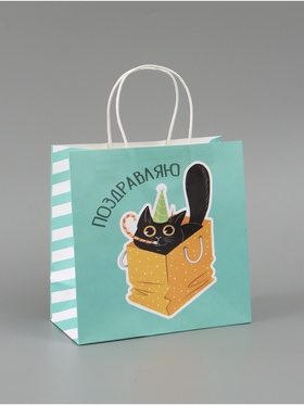 Пакет подарочный «Поздравляю», 22 × 22 × 11 см