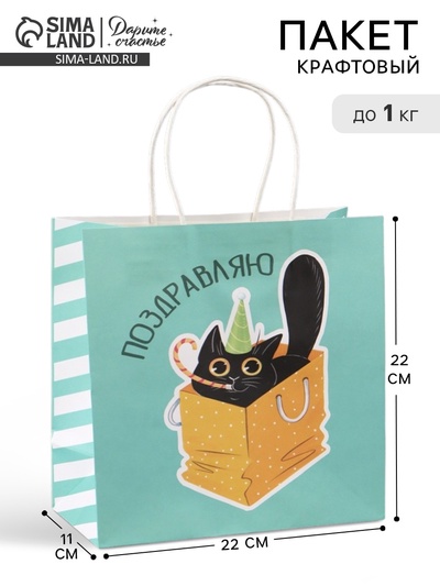 Пакет подарочный «Поздравляю», 22×22×11 см