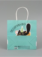 Пакет подарочный «Поздравляю», 22×22×11 см - Фото 6