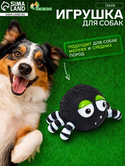 Пищащая игрушка для собак «Паук», 15 см, чёрная