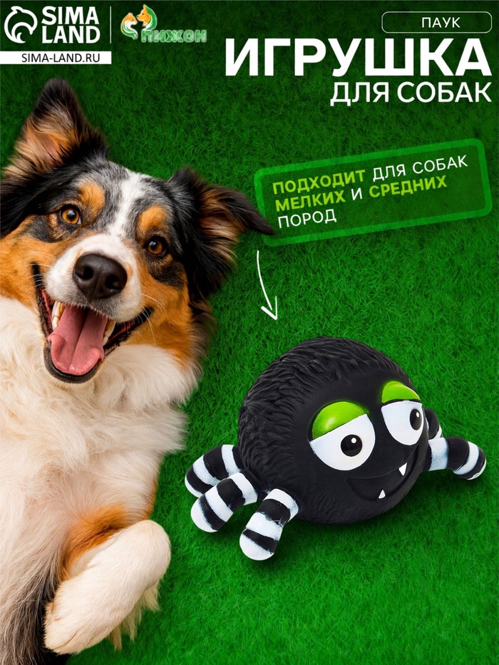 Пищащая игрушка для собак «Паук», 15 см, чёрная - Фото 1