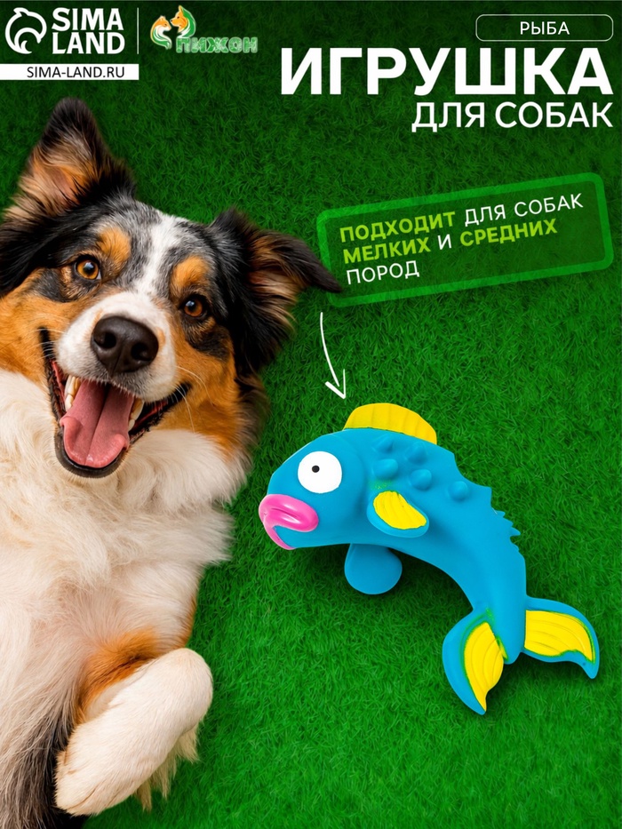 Пищащая игрушка для собак «Рыба», 20 см