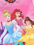 Кошелек детский на липучке «Принцессы» розовый 9×9×1  (артикул 10930884)  большой выбор товаров оптом и в розницу по низким ценам с доставкой