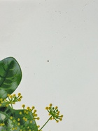 УЦЕНКА Кастрюля эмалированная цилиндрическая, 10 л, без крышки, деколь МИКС, белая - Фото 6