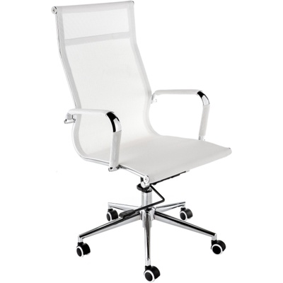 Компьютерное кресло Reus, 54×60×108 см, цвет хром/белый